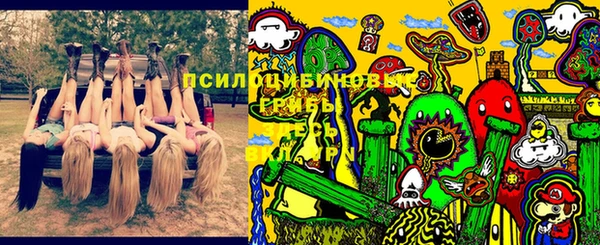 спайс Новодвинск