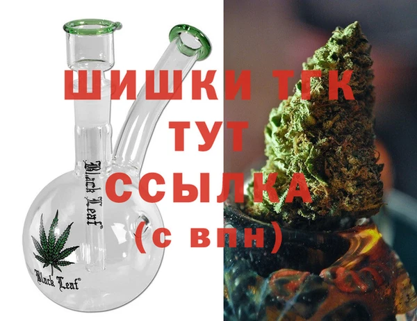 тгк Новозыбков
