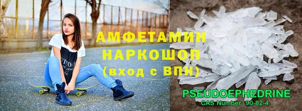 стаф Новокубанск