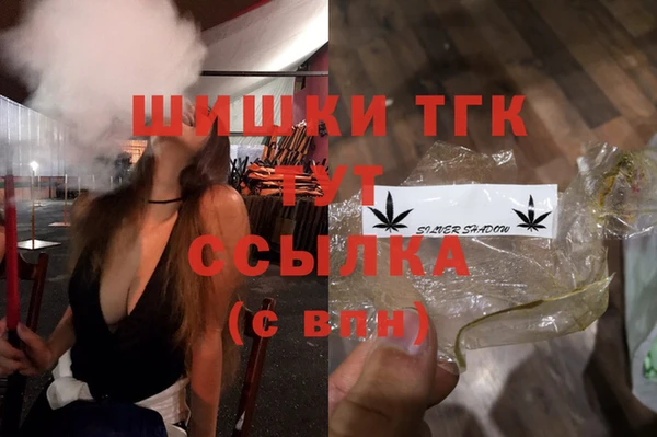 стаф Новокубанск