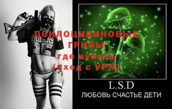 стаф Новокубанск