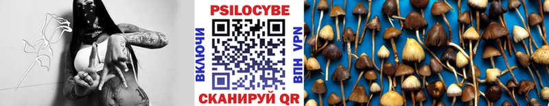 Псилоцибиновые грибы ЛСД  как найти   Волжский 